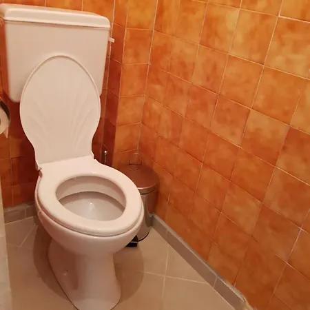 саня *